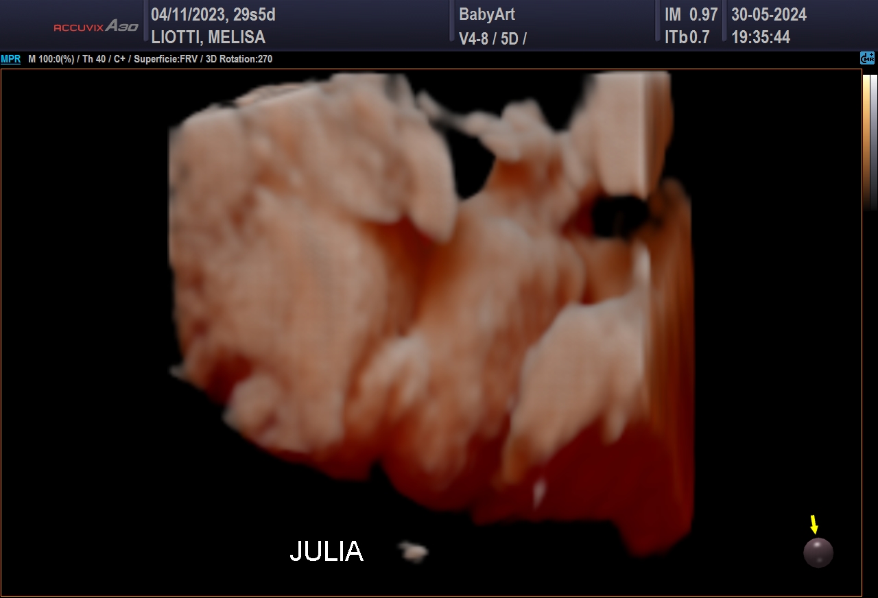 JULIA DE MELISA LIOTTI_0006.JPG